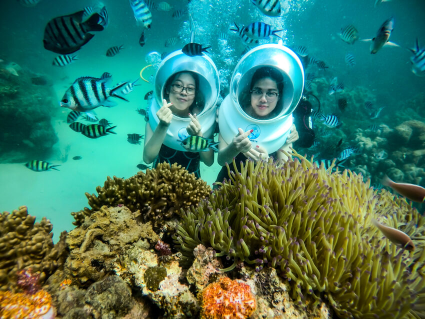 Du khách đến Namaste sẽ được chiêm ngưỡng gần 200 loài san hô khác nhau