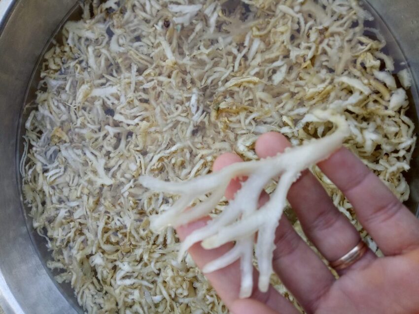 Món ăn thanh mát, giải nhiệt thích hợp vào mùa hè