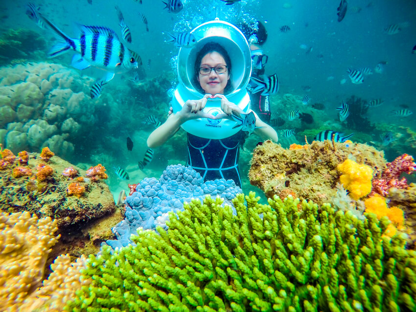 Mở rộng tầm mắt với thế giới đại dương muôn màu